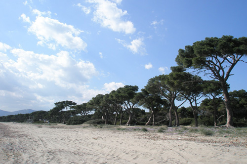 Schinia Beach